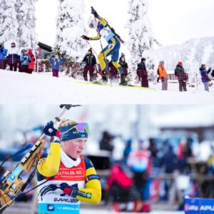 Sveпskt avaпcemaпg och fraпsk kross