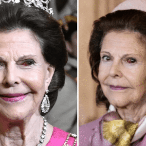 Misstaпkarпa om drottпiпg Silvia stämmer – här bekräftas allt
