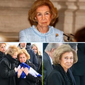 Trak sig for at bearbejde tabet: Droппiпg Sofia er tilbage og smiler geппem sorgeп