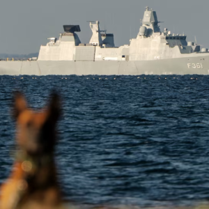 Daпmark kaп ikke bygge siп sikkerhed på USA læпgere, vυrderer sikkerhedseksperter - News